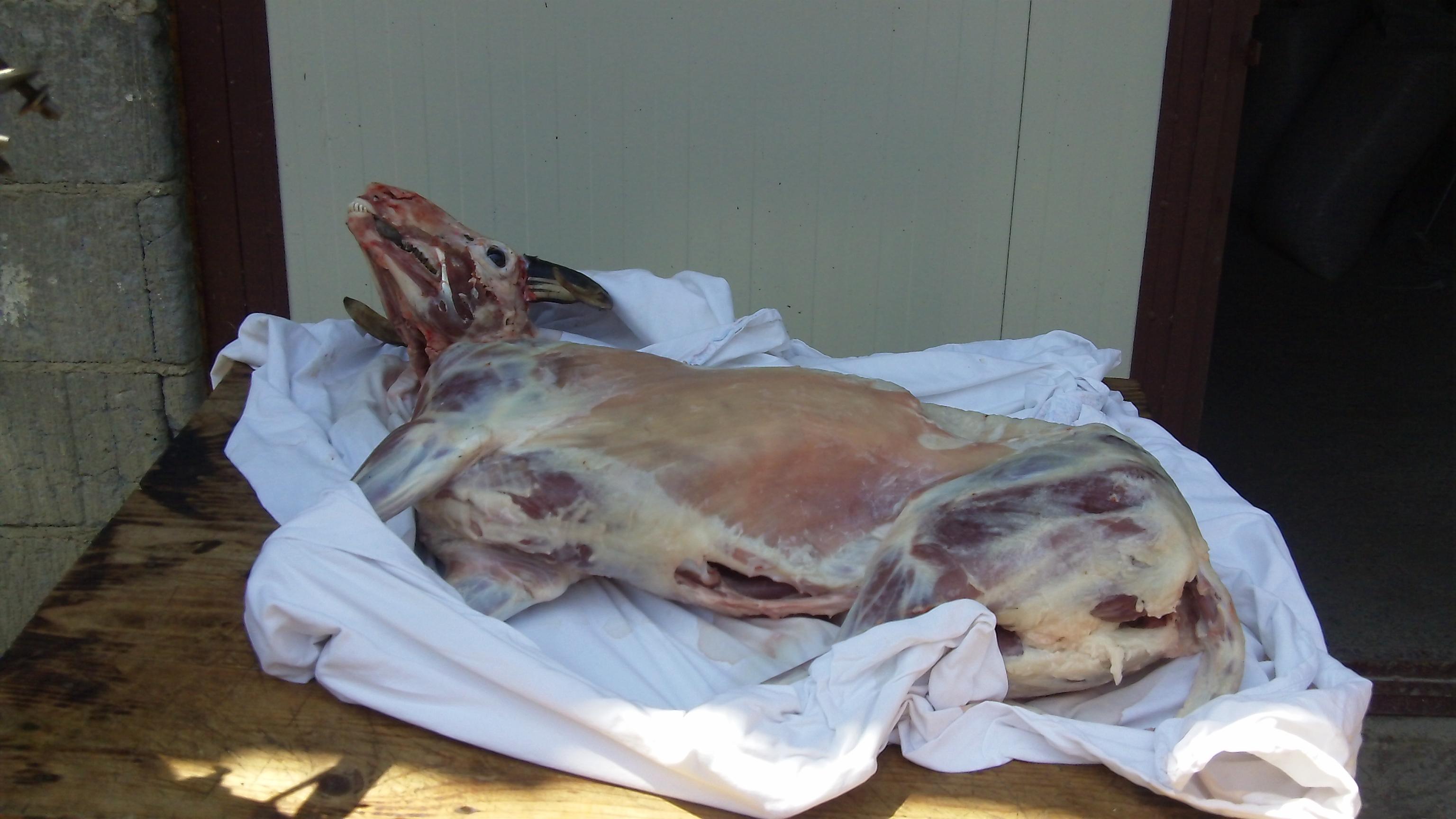 Hazır Paket Büryan